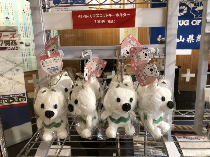 非売品 和歌山 2015国体 オフィシャルサプライヤー きいちゃん 
